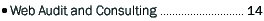 [Web Audit and Consulting]